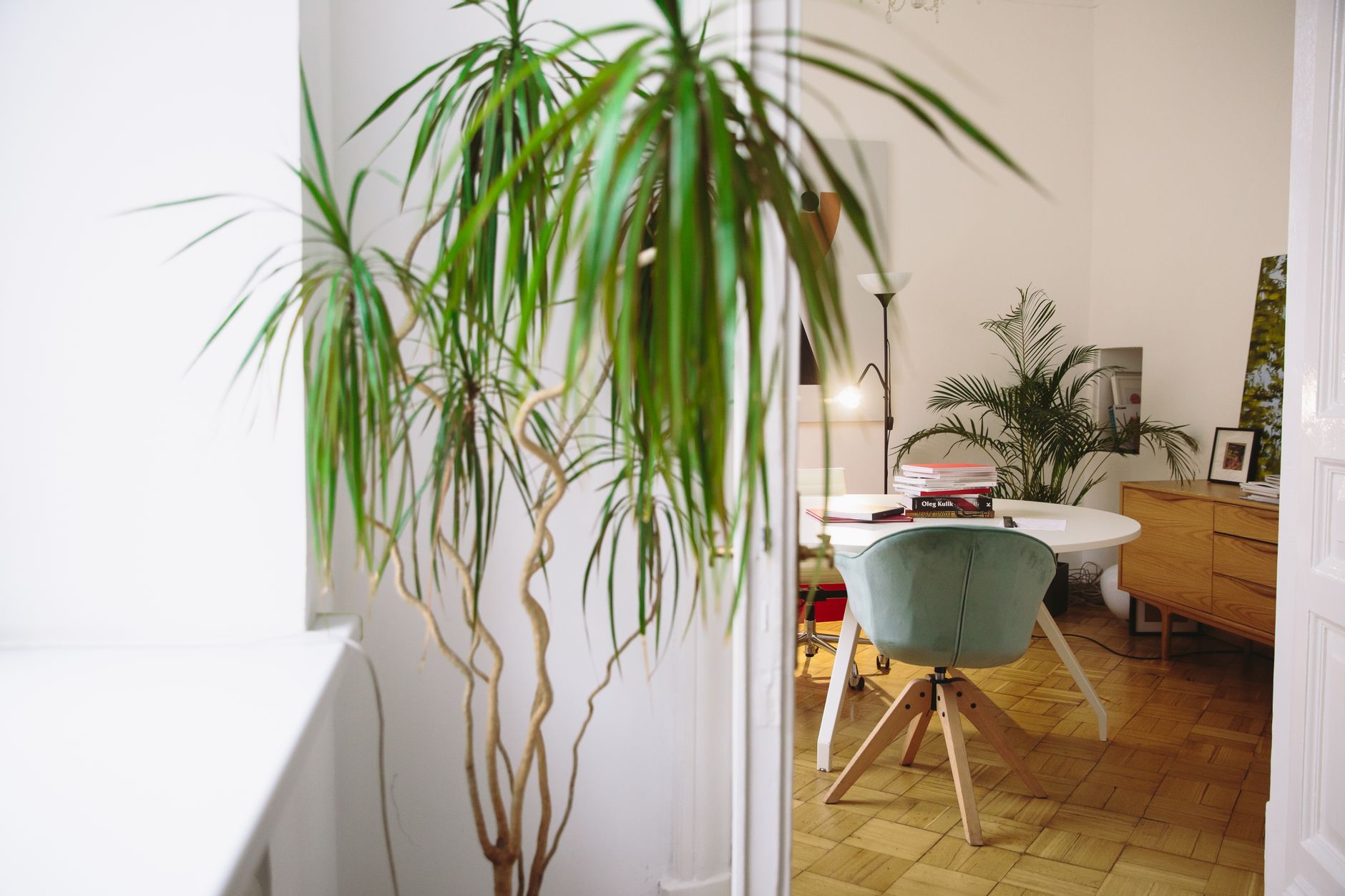 Plante ved et hvidt arbejdsbord og en notesbog